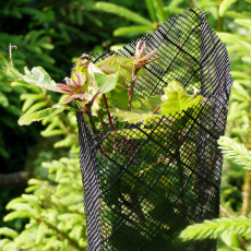 Protection contre le gibier