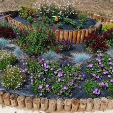 Aménagements paysagers - Tuteurage et plantations - E2D