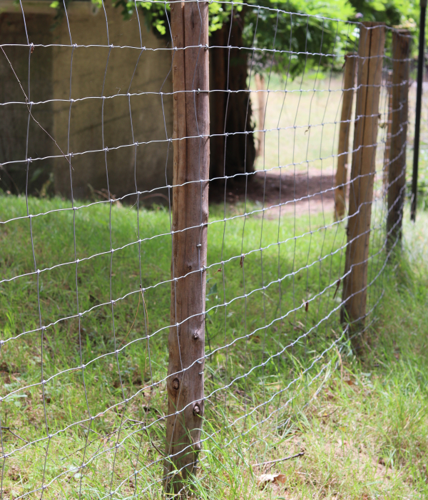 Grillage à mouton (fils noués) e2d