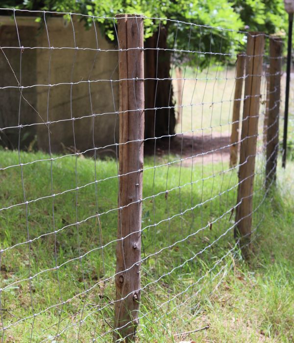 Grillage à mouton (fils noués) e2d