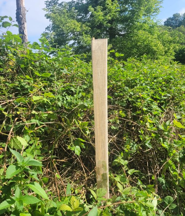 Gaine biodégradable tissée en coton - e2d