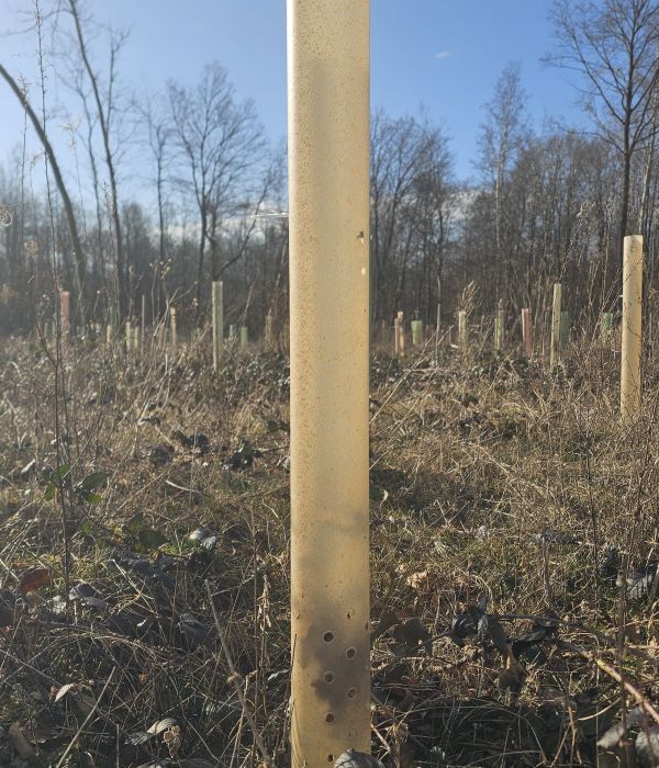 Tube Biodégradable Bio-bois - e2d