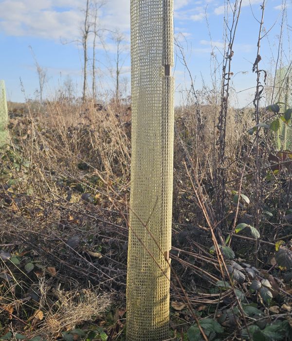 Gaine biodégradable tissée en coton - e2d