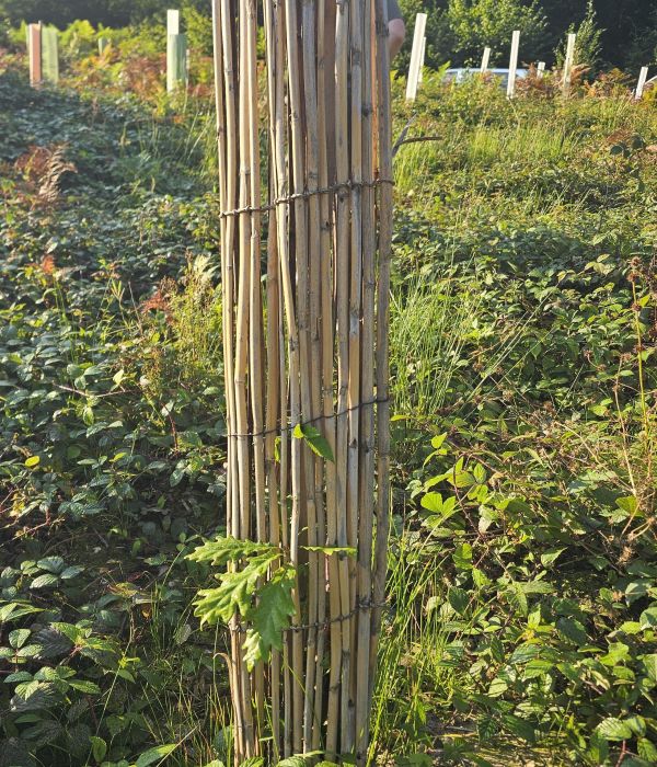 Écoprotectplant 120 - e2d