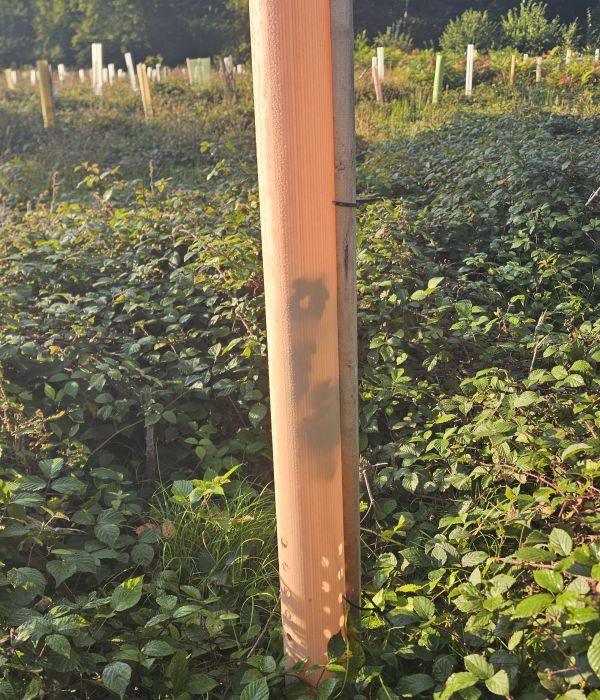 TUBEX EQUILIBRE NATURE - e2d