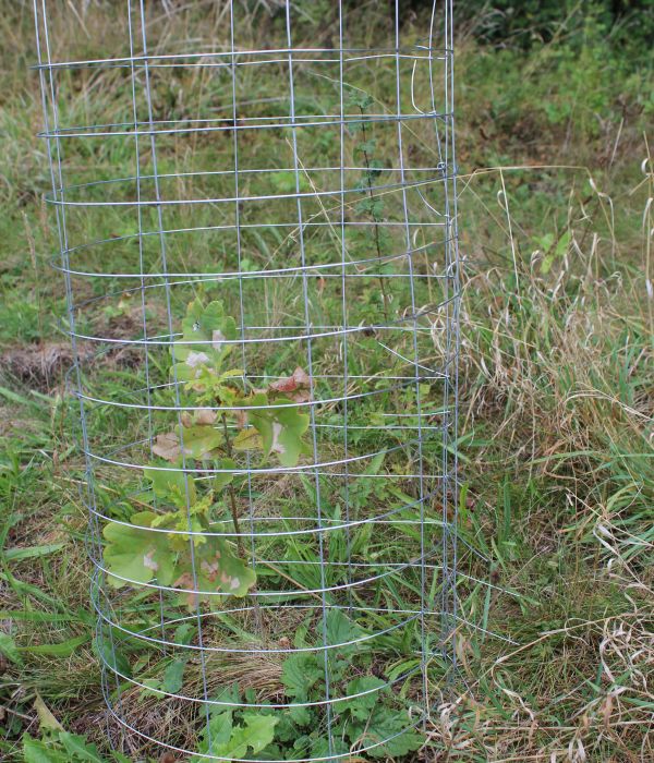 Protection métallique METALLIGA e2d