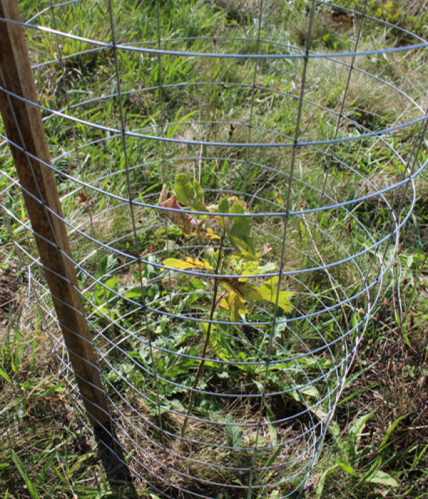 Protection métallique METALLIGA e2d