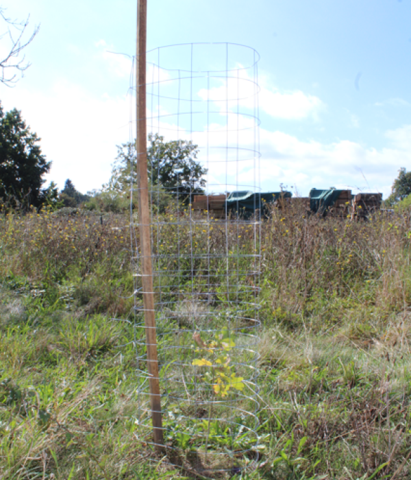 Protection métallique METALLIGA e2d