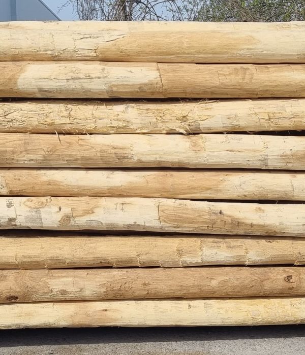 Piquet en acacia rond e2d