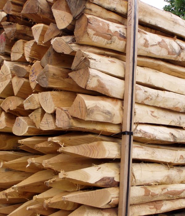 Piquet en acacia fendu e2d