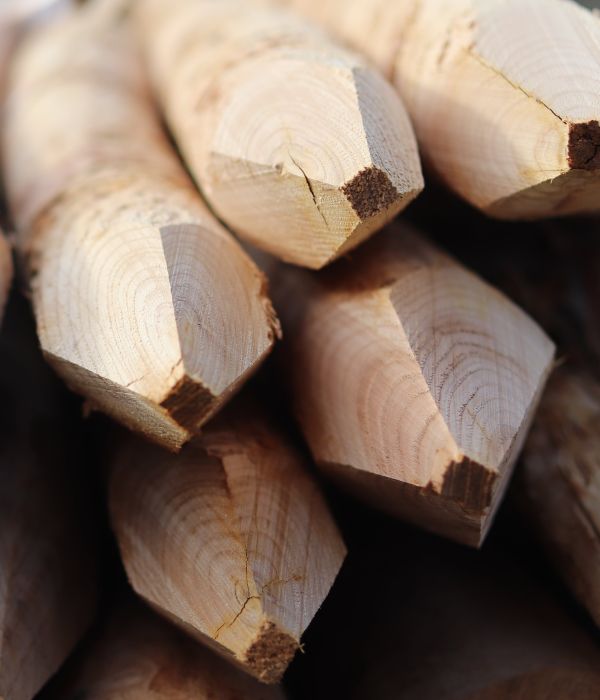 Piquet châtaignier écorcé - e2d