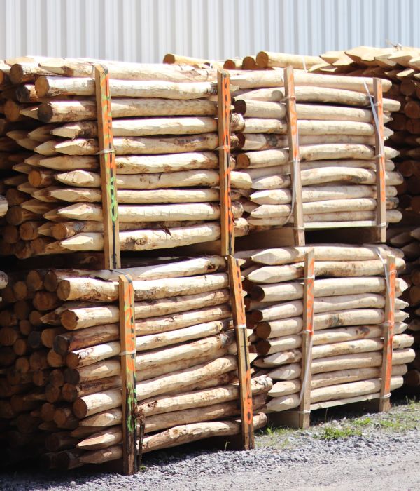 Piquet châtaignier écorcé - e2d