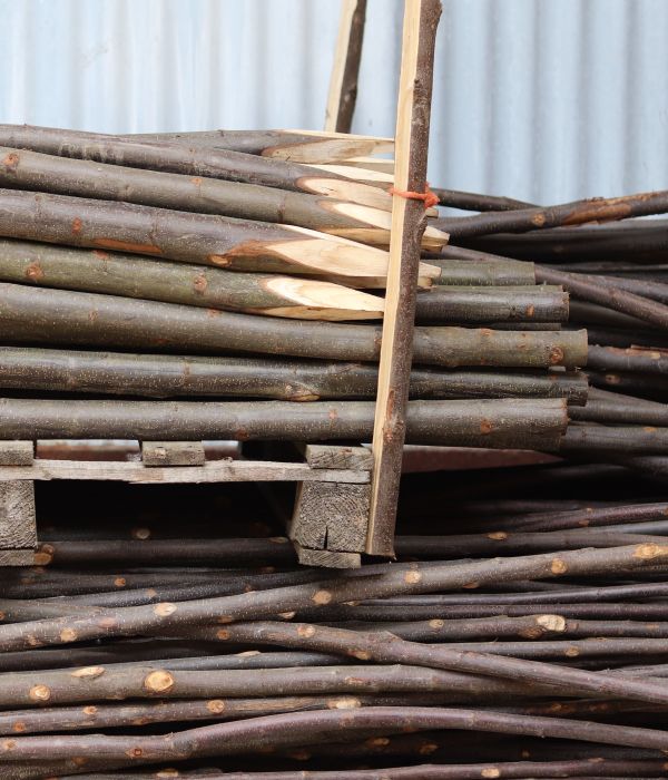 Gaulettes châtaignier - e2d