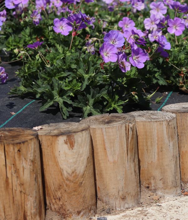 Rondin châtaignier fraisé e2d