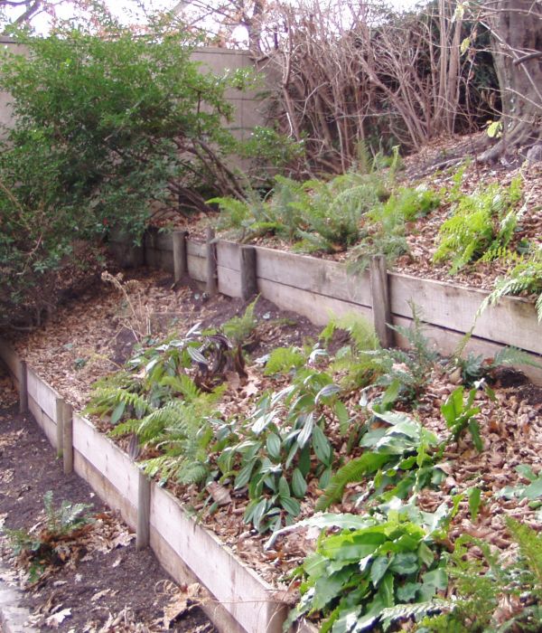 Planche chêne - e2d