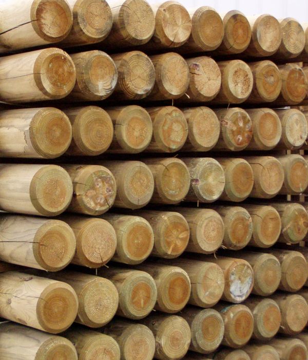 Rondin pin traite IV e2d