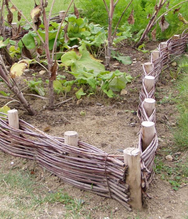 Gaulettes châtaignier - e2d