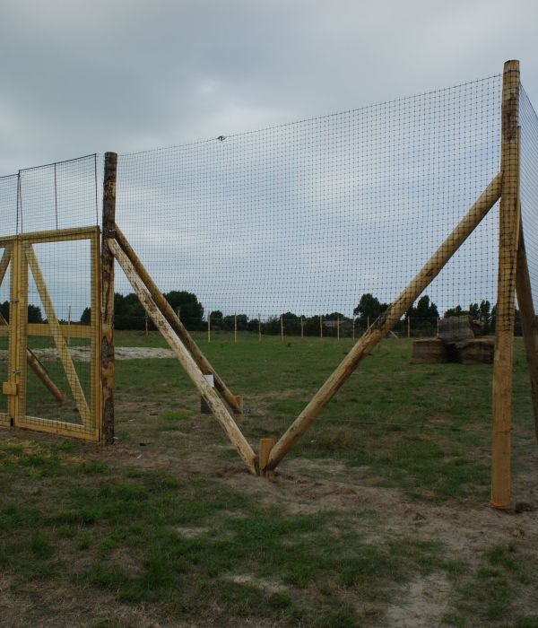 Pieux en châtaignier grandes dimensions e2d