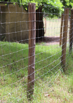 Grillage à mouton (fils noués) e2d