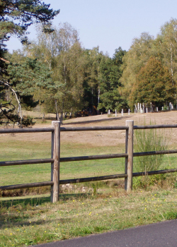 Clôture pin fraisé traité e2d