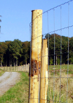 Grillage à mouton - E2d