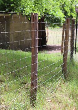 Grillage à mouton (fils noués) e2d