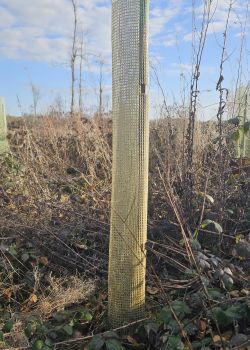 Gaine biodégradable tissée en coton - e2d