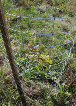 Protection métallique METALLIGA e2d