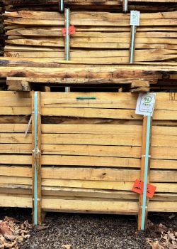 Châtaignier scié e2d