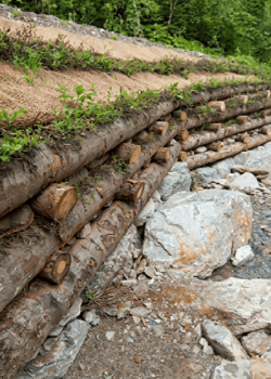 Pieux en châtaignier grandes dimensions e2d