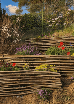 Gaulettes châtaignier - e2d