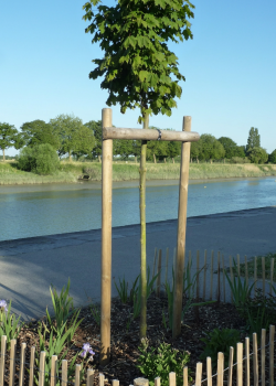 piquet bois extérieur tuteur arbre - e2d