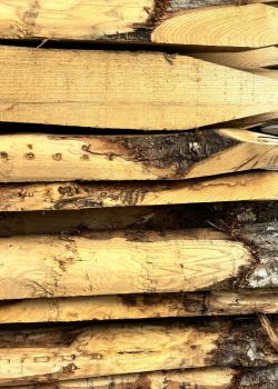 Piquet en châtaignier scié e2d