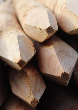 Piquet châtaignier écorcé - e2d