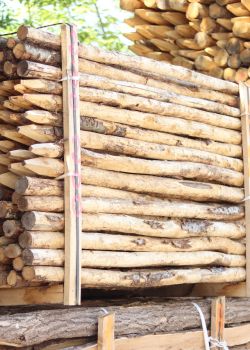 Piquet châtaignier écorcé - e2d