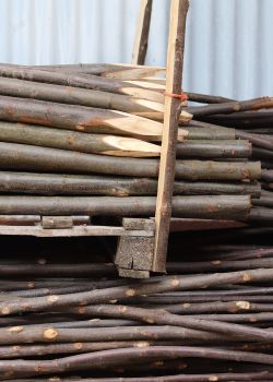 Gaulettes châtaignier - e2d