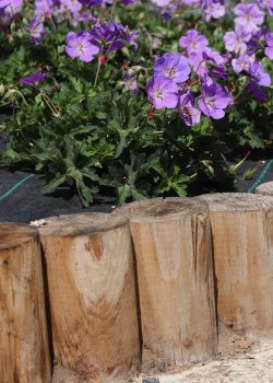 Rondin châtaignier fraisé e2d