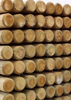 Rondin pin traite IV e2d