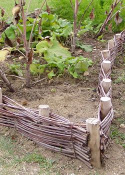 Gaulettes châtaignier - e2d