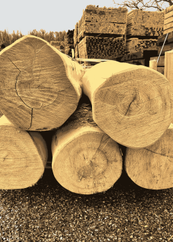 Rondin poncé acacia e2d