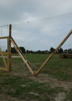 Pieux en châtaignier grandes dimensions e2d