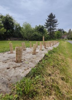 paillis vegetal biodegradable plantation - e2d 