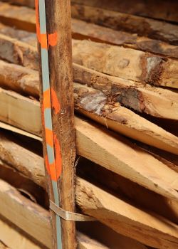 Piquet en châtaignier scié e2d